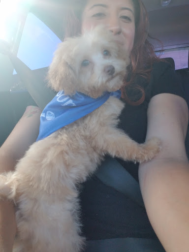 Pet Supply Store «PetSmart», reviews and photos, 2730 Pacific Coast Hwy, Torrance, CA 90505, USA