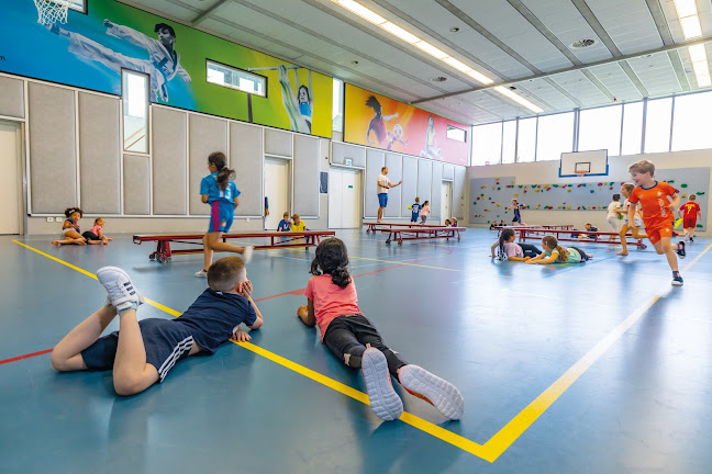 Basisschool Het Spectrum - School