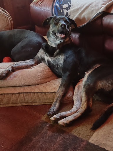 Tobacco Shop «Smokey Bones Tobacco Shop», reviews and photos, 810 E Winona Ave, Warsaw, IN 46580, USA