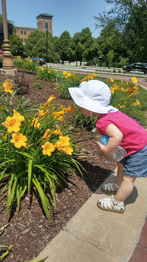 Performing Arts Theater «Morris Performing Arts Center», reviews and photos, 211 N Michigan St, South Bend, IN 46601, USA