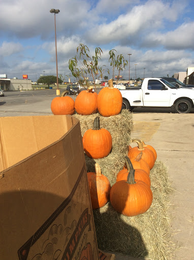 Home Improvement Store «Tractor Supply Co.», reviews and photos, 540 10th St #150, Floresville, TX 78114, USA