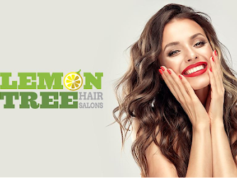 Lemon Tree Hair Salon Johnson City