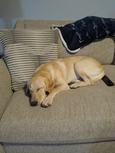 Tropical Fish Store «Pet Friendly Inc», reviews and photos, 845 Manitou Rd, Hilton, NY 14468, USA