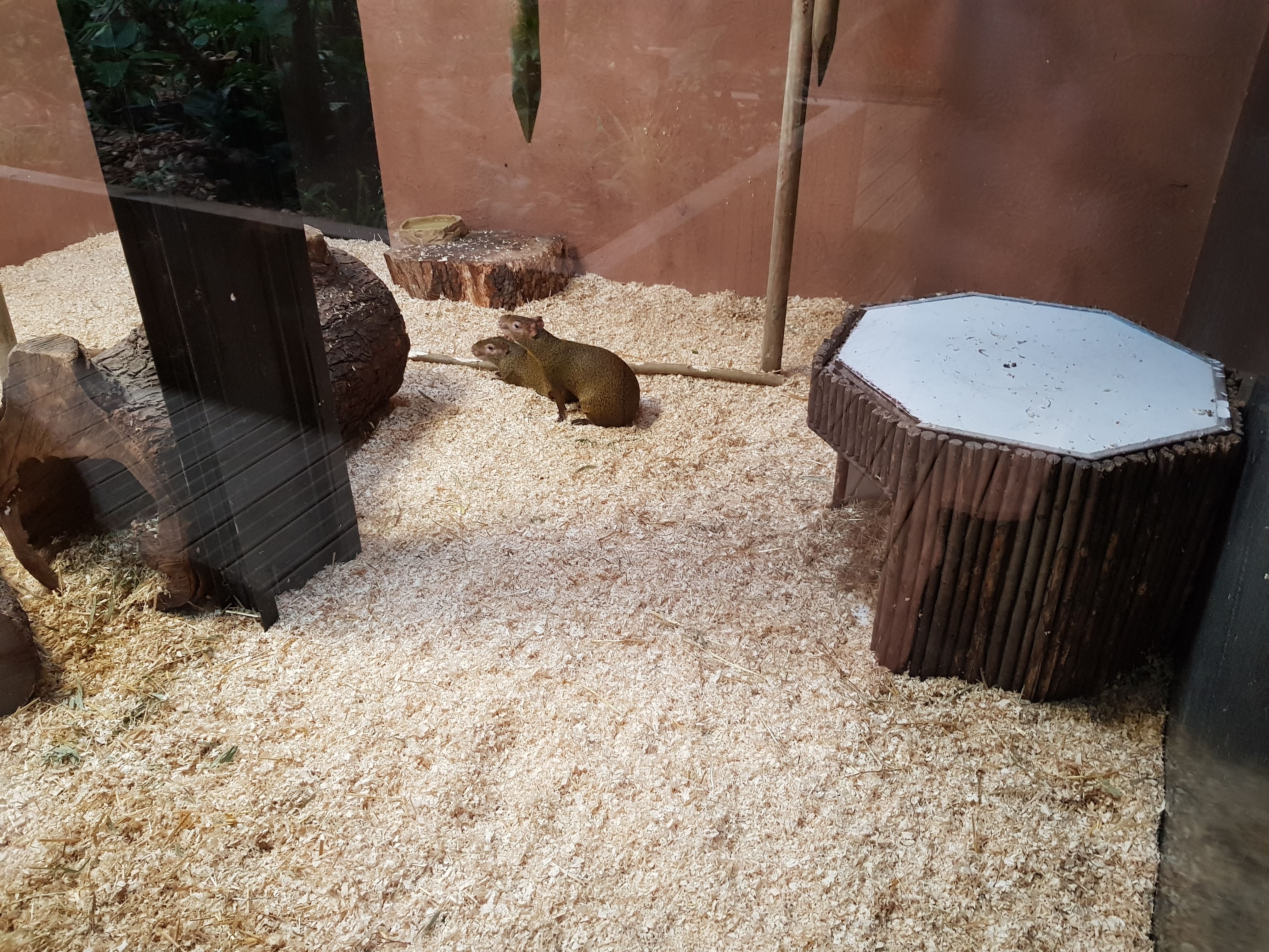 Photo n° 14 de l'avis de Charbel.l fait le 17/03/2019 à 23:45