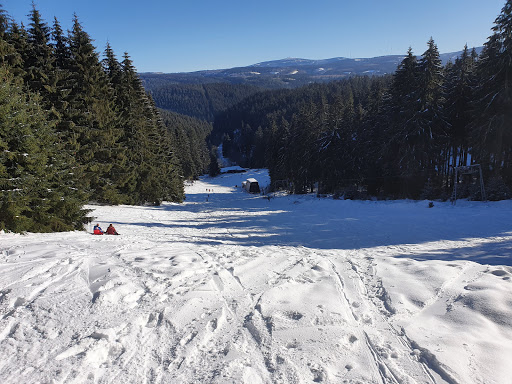 Ski Alpinum Schulenberg