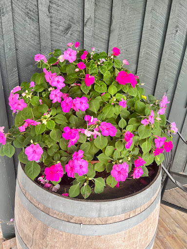 Winery «Smith-Berry Winery», reviews and photos, 855 Drennon Rd, New Castle, KY 40050, USA