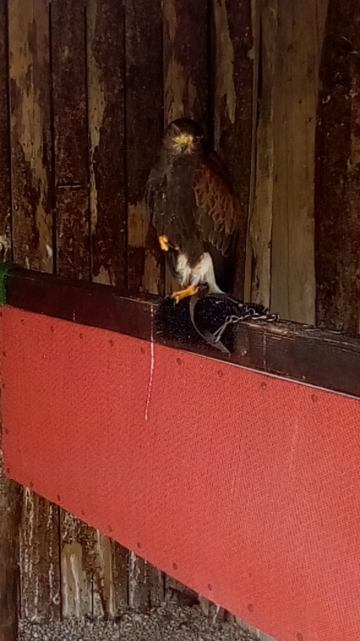 Photo n° 6 de l'avis de Emilie.e fait le 07/07/2019 à 10:34