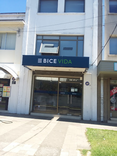 BICE VIDA Chillán