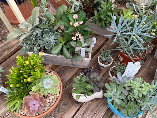 Plant Nursery «Sturtz & Copeland Florist & Greenhouses», reviews and photos, 2851 Valmont Rd, Boulder, CO 80301, USA