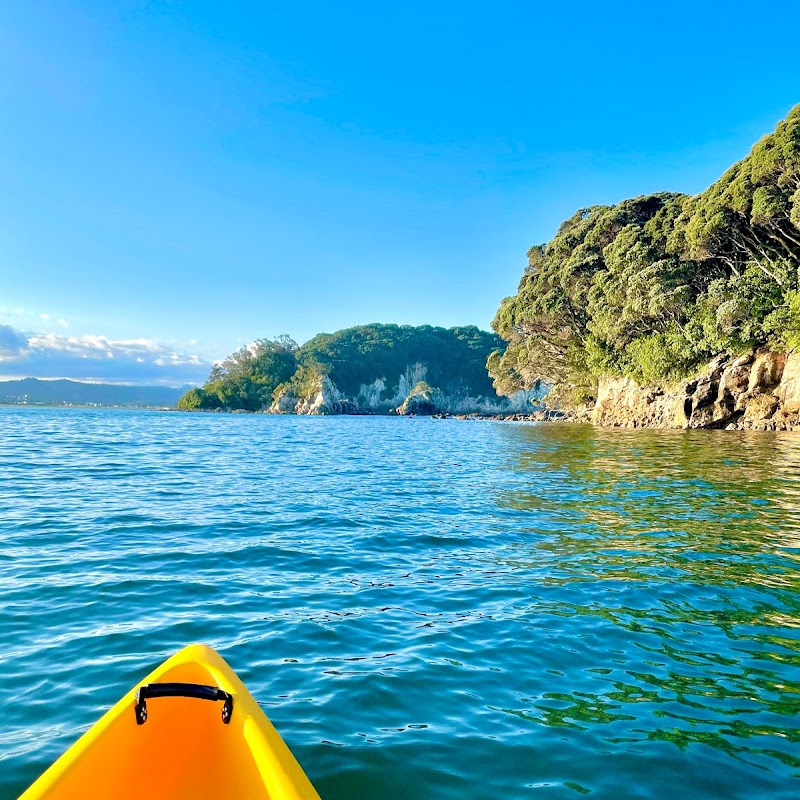 Pedal and Paddle Donut Island Kayak Tours