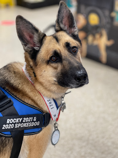 Pet Supply Store «PetSmart», reviews and photos, 6060 Long Prairie Rd, Flower Mound, TX 75028, USA