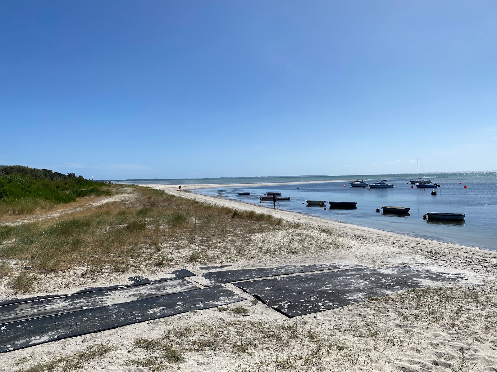 Foto av Rosebud Beach - populär plats bland avkopplingskännare