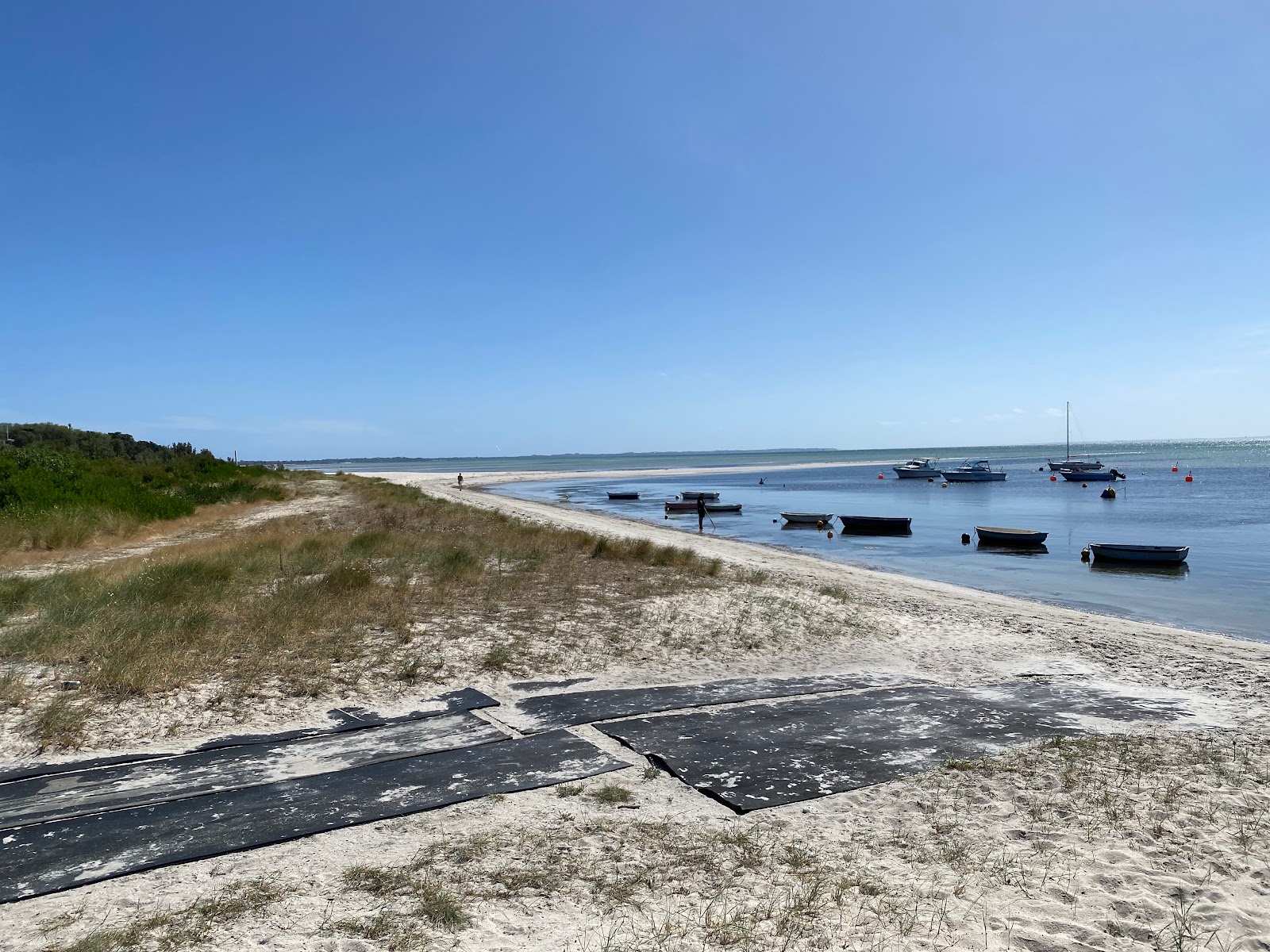 Rosebud Beach photo #7