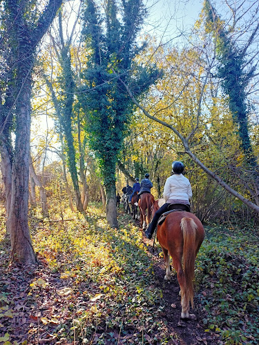 Horse-Ranch Manippos “Loutra Pozar” (λειτουργεί με ραντεβού) - Ξενοδοχείο