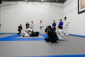 Academy 231 - Muskegon Jiu-Jitsu image