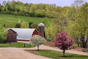 Pioneer Creek Farm image