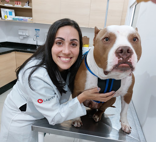 Duas Irmãs Pet Shop e Veterinária em São Paulo - SP