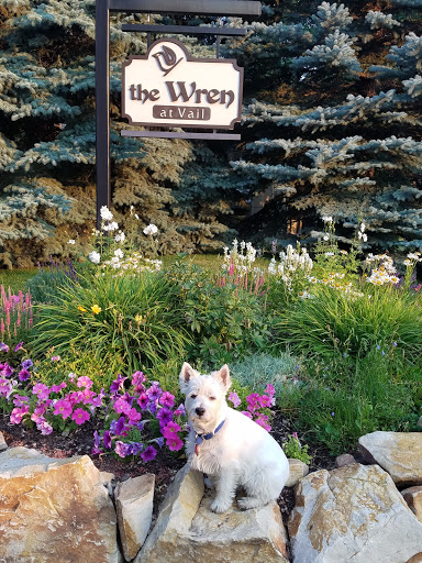 Pet Supply Store «Pet Supplies Plus», reviews and photos, 2472 Veterans Dr, Galesburg, IL 61401, USA