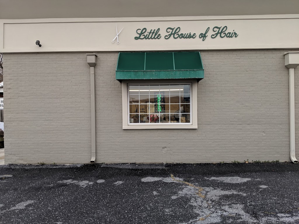 Little House of Hair 22980