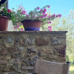 Photo n°4 de l'avis de Marcelo.a fait le 16/08/2023 à 13:48 sur le  Antico Borgo De' Frati à San Gimignano