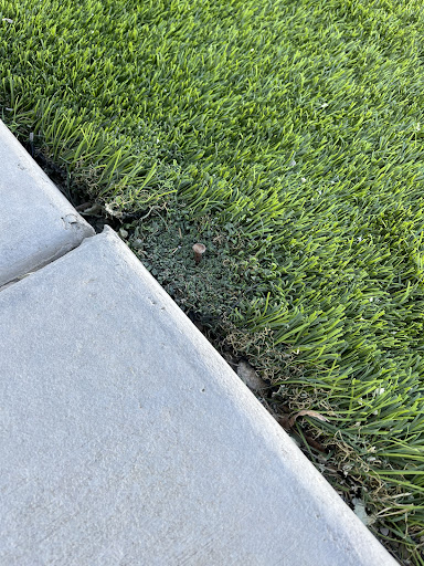 Concrete Contractor «Davenport Foundation Repair», reviews and photos