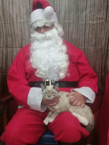 Pet Store «Critter Mart & More», reviews and photos, 3 10th St NW, Watertown, SD 57201, USA