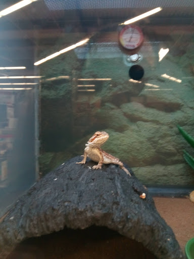 Pet Supply Store «Petco Animal Supplies», reviews and photos, 10 Waterfront Pl, Port Chester, NY 10573, USA