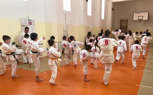 Clubul Sportiv COBRA