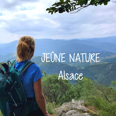 Jeûne Nature à Jungholtz
