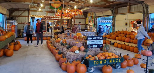 Tom's Maze and Pumpkin Farm