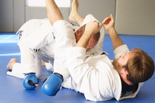 Gracie Martial Arts Tampa Jiu Jitsu and Self Defense