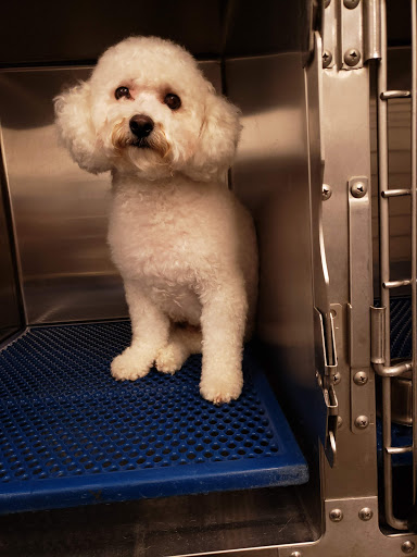 Pet Supply Store «PetSmart», reviews and photos, 849 E 23rd St, Panama City, FL 32405, USA