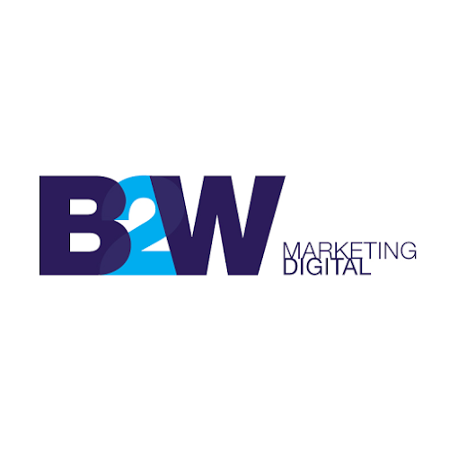 B2W eCommerce & Marketing Digital - Viña del Mar