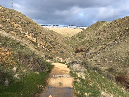 Miller Gulch Trailhead and Parking