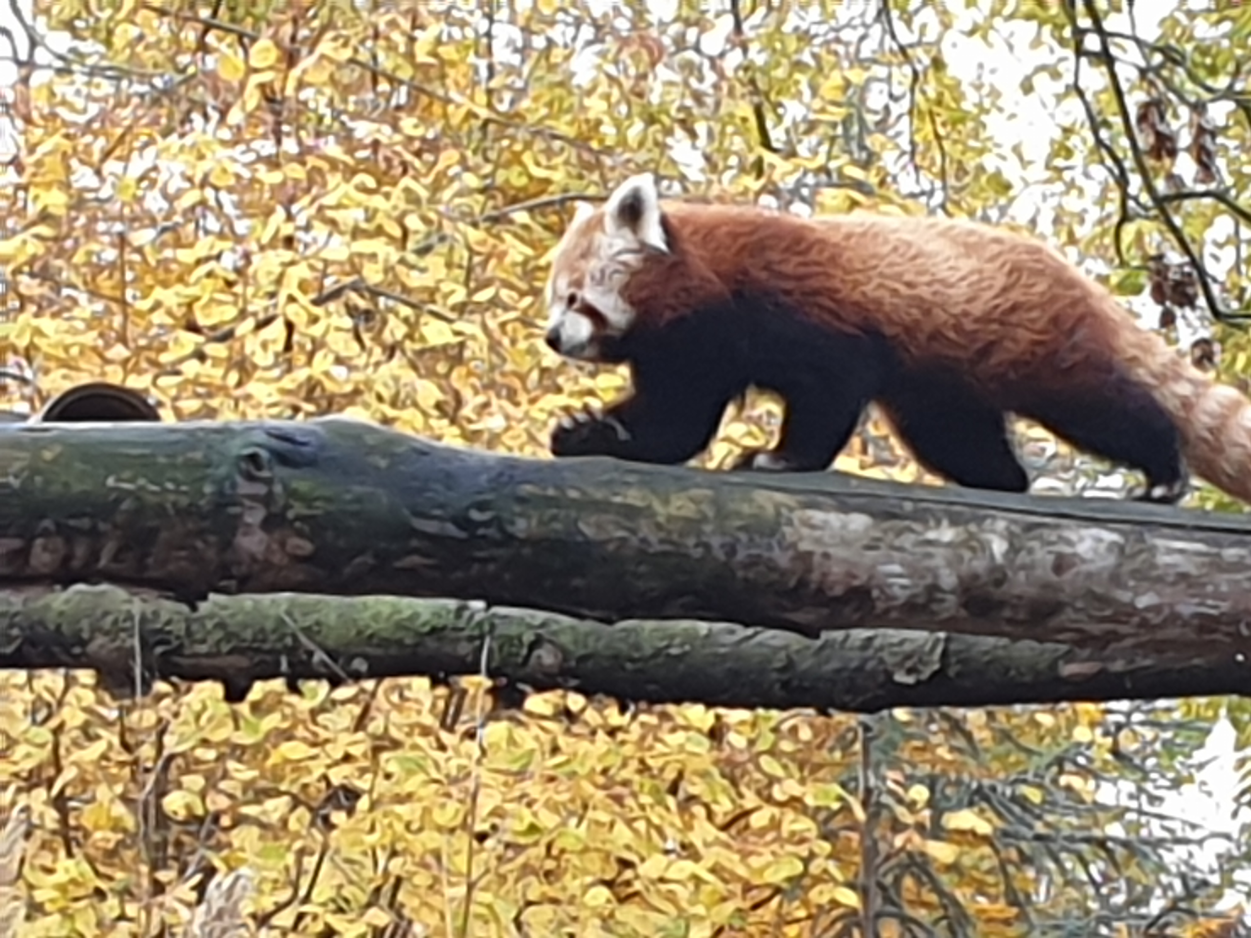 Photo n° 15 de l'avis de Jeremy.e fait le 11/07/2021 à 09:11