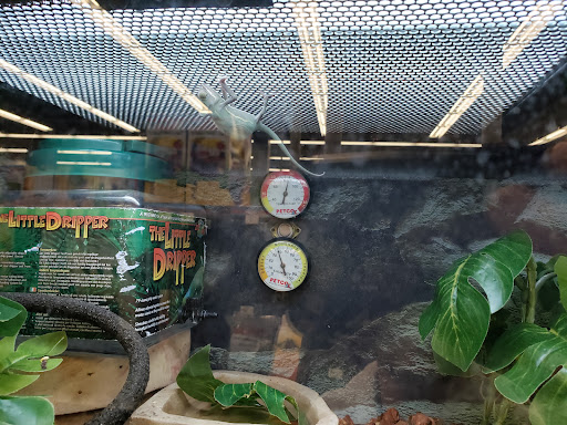 Pet Supply Store «Petco Animal Supplies», reviews and photos, 693 Middletown Warwick Rd, Middletown, DE 19709, USA