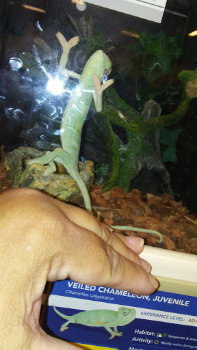 Pet Supply Store «PetSmart», reviews and photos, 2500 Posner Blvd, Davenport, FL 33837, USA