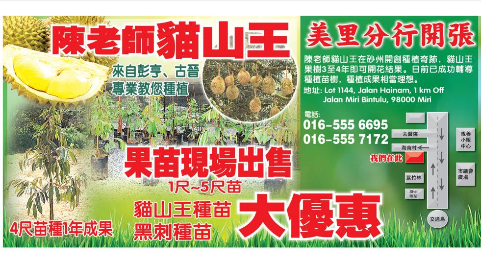 Master Chen Durian Musang King Nursery (Miri Branch)