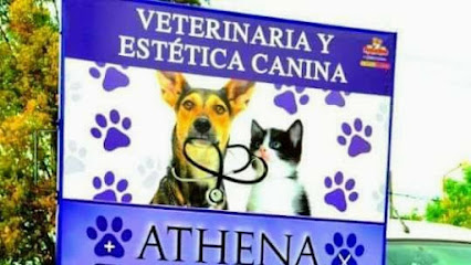 Veterinaria Y Pet Shop Athena