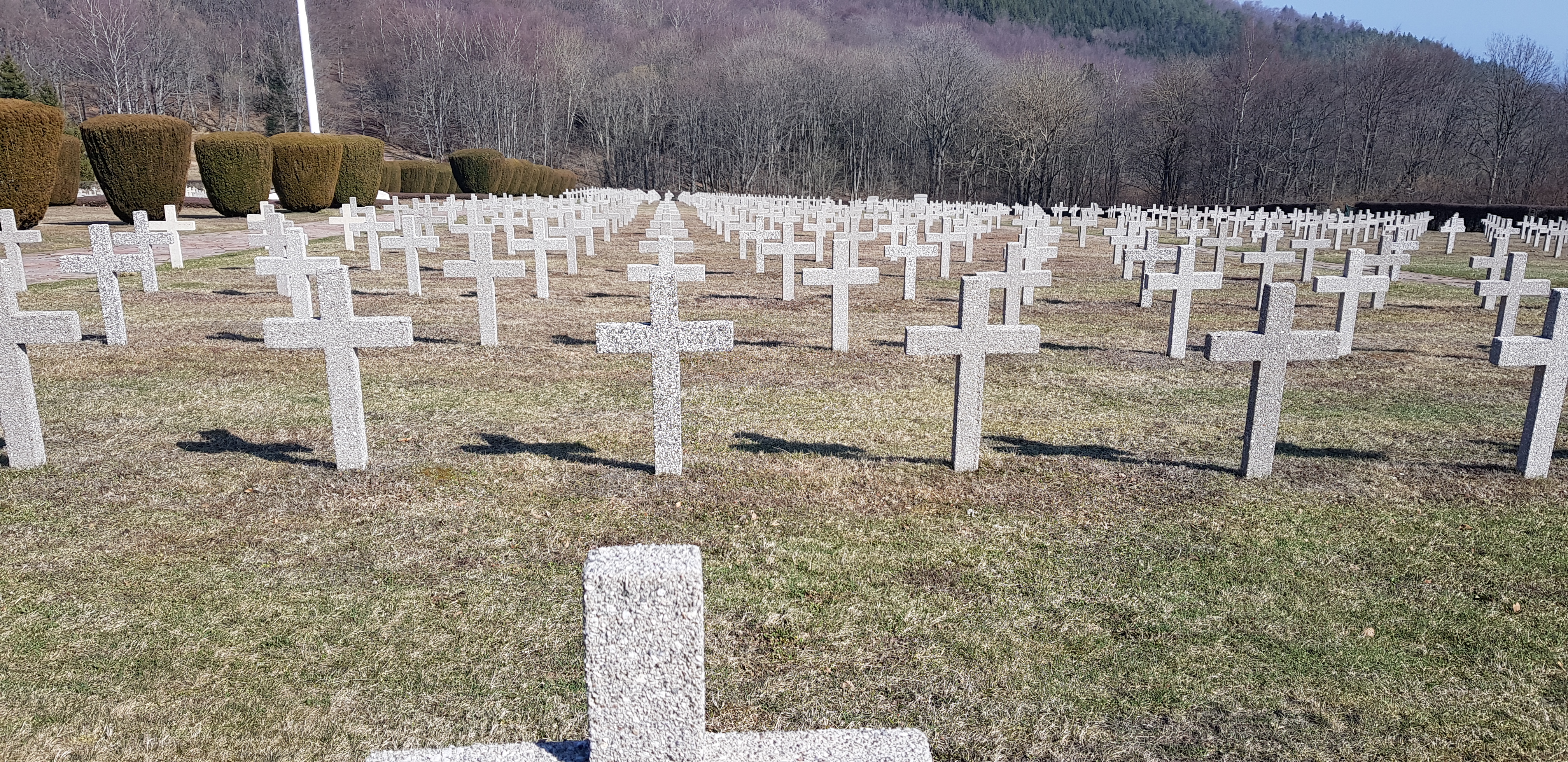 Photo n° 15 de l'avis de Alex.t fait le 22/03/2022 à 18:40