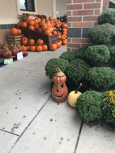 Shopping Mall «Constant Friendship Shopping Center», reviews and photos, 3438 Emmorton Rd, Abingdon, MD 21009, USA