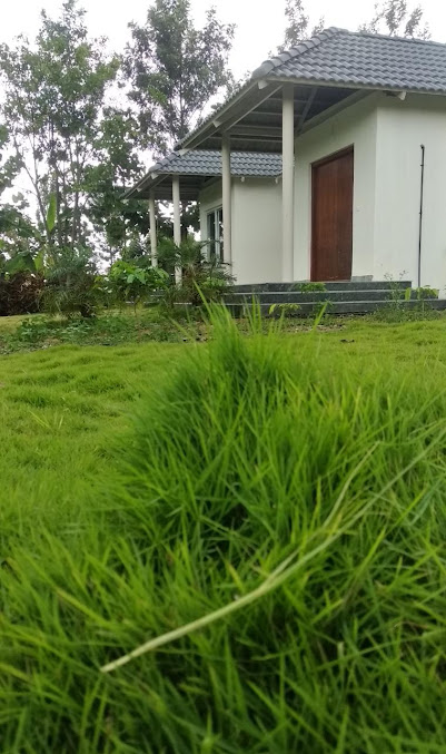 Google Maps image 16