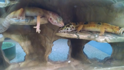 Pet Supply Store «Petco Animal Supplies», reviews and photos, 1049 S Willow St, Manchester, NH 03103, USA