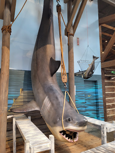 Sporting Goods Store «Bass Pro Shops», reviews and photos, 5156 International Dr, Orlando, FL 32819, USA