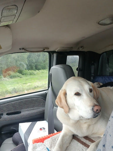 Donut Shop «dot donuts», reviews and photos, 1825 SE 164th Ave #103, Vancouver, WA 98683, USA