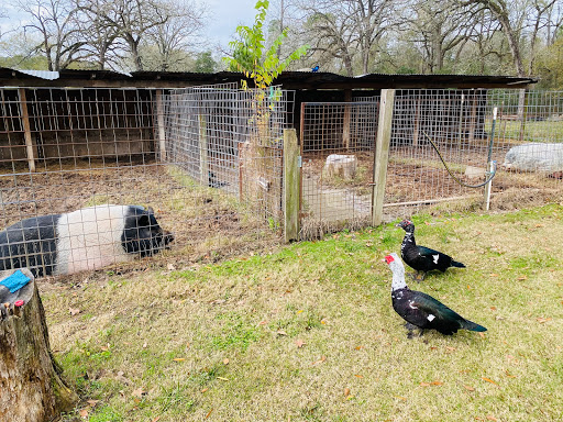 Knox Drive Farm & Feed