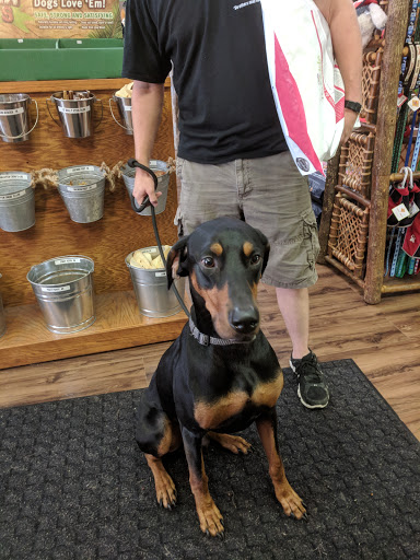 Pet Supply Store «Scally Waggs Doggy Bakery & Pet Supplies», reviews and photos, 44 W Front St, Monroe, MI 48161, USA