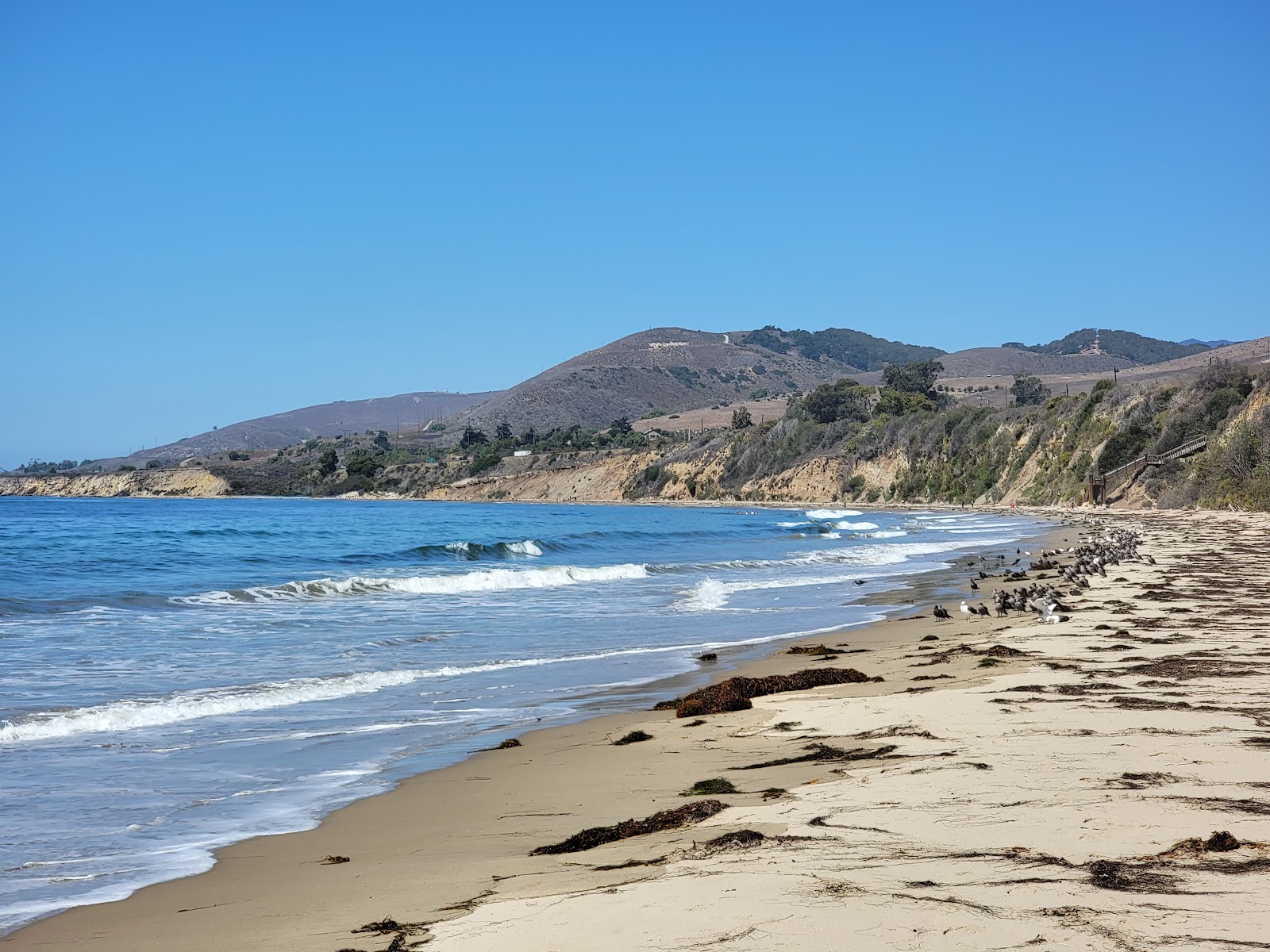 Fotografie cu El Capitan Beach amplasat într-o zonă naturală