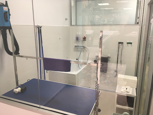 Clínica Veterinaria El Jardin en Murcia