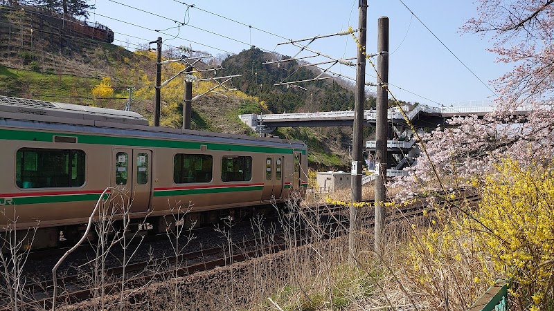 白石川堤一目千本桜(JR船岡駅付近)